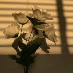 دانلود آهنگ مهربانم جانم نبضم ضربانم با صدای نسترن