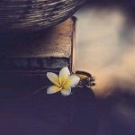 دانلود آهنگ سنه بیر عمر یار اولام عهده وفادار اولام