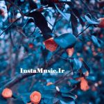 دانلود اهنگ عربی اکبر غلطه حیاتی