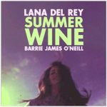 دانلود آهنگ summer wine