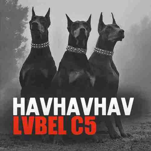 دانلود آهنگ lvbel c5 havhavhav