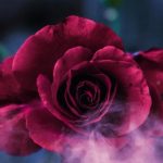 دانلود اهنگ معین ای تو بهانه