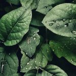 دانلود اهنگ اونه گنگ لاو